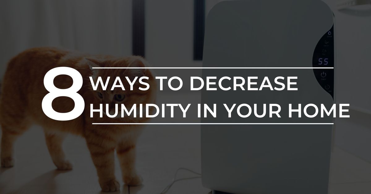 What Should My Home Humidity Be?