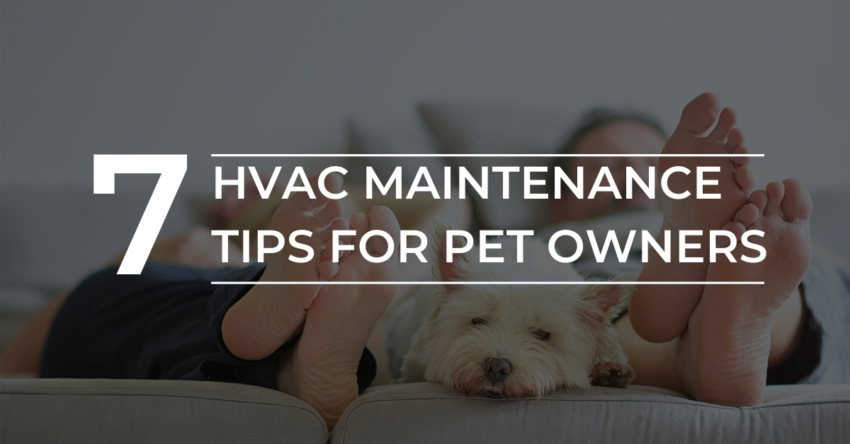 7 HVAC Maintenance Tips for Pet Owners Carolina Comfort Air
