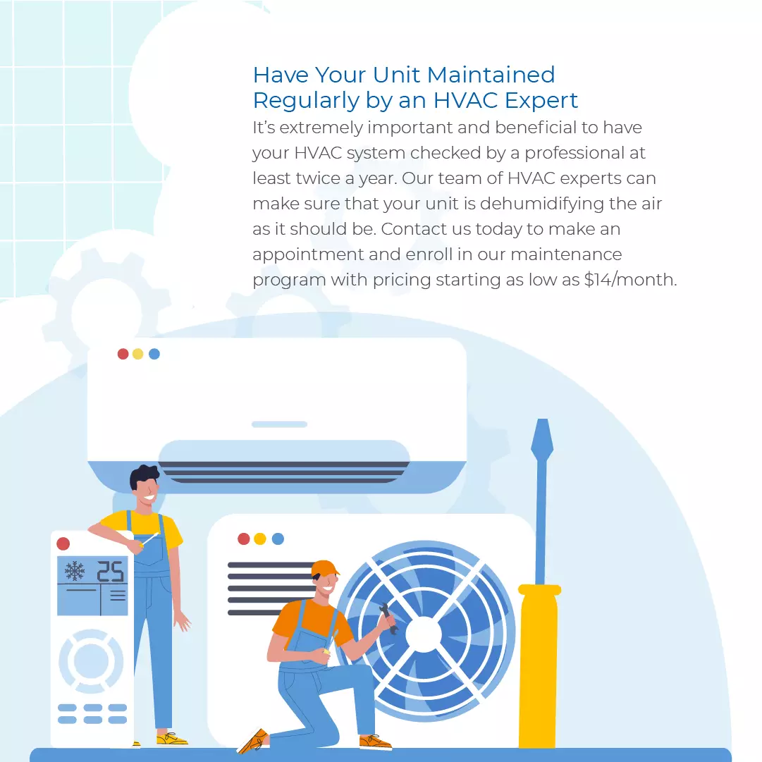 8 Ways to Decrease Humidity in Your Home Carolina Comfort Air