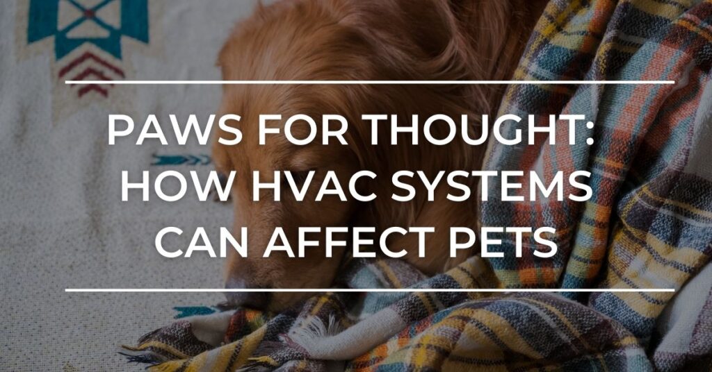 Paws for Thought: How HVAC Systems Can Affect Pets