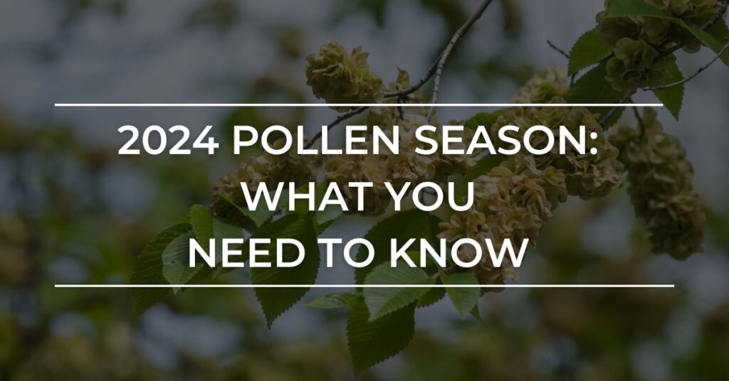 2024 Pollen season is ahead of schedule for some areas of North Carolina and the rest of the US